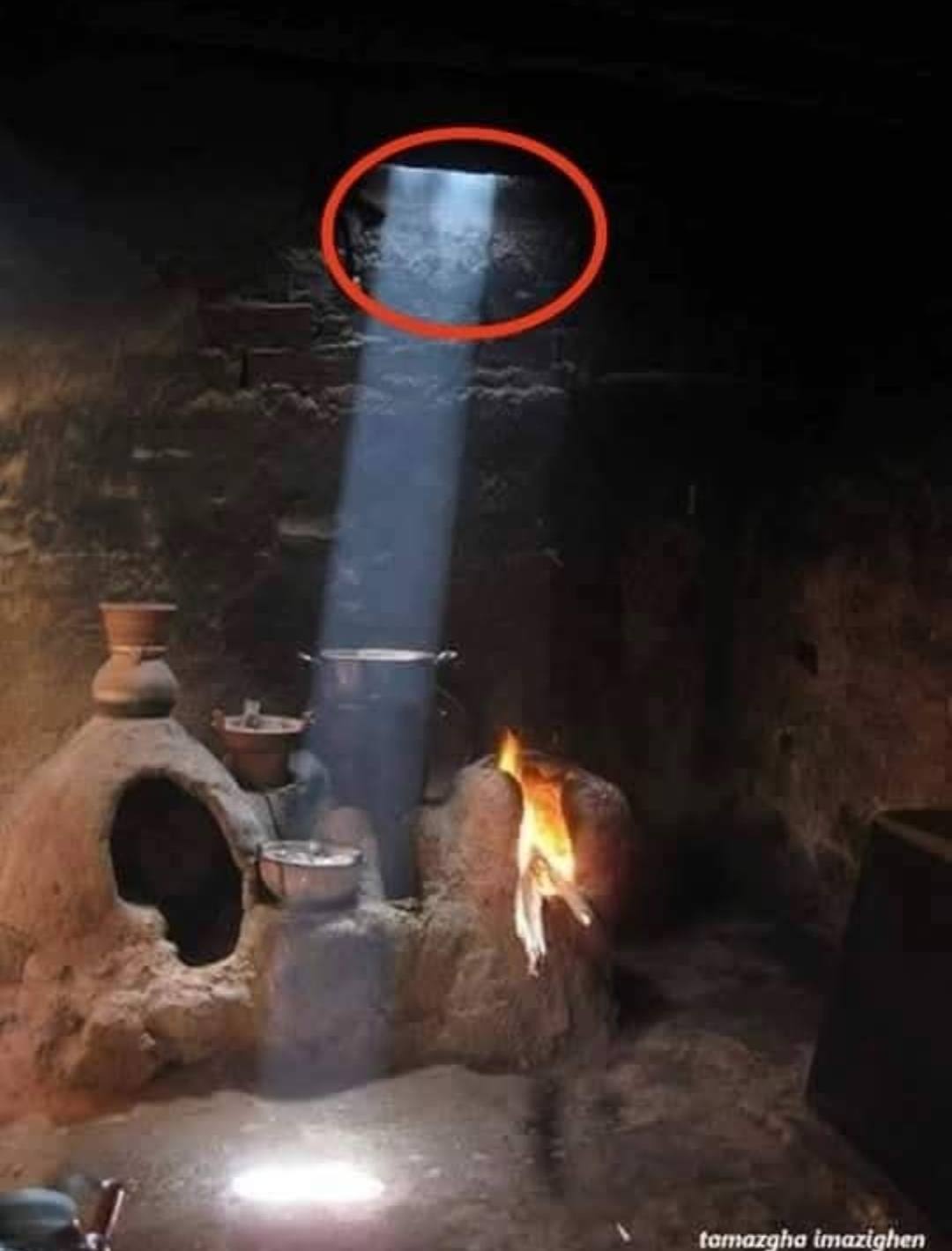      الماجن 